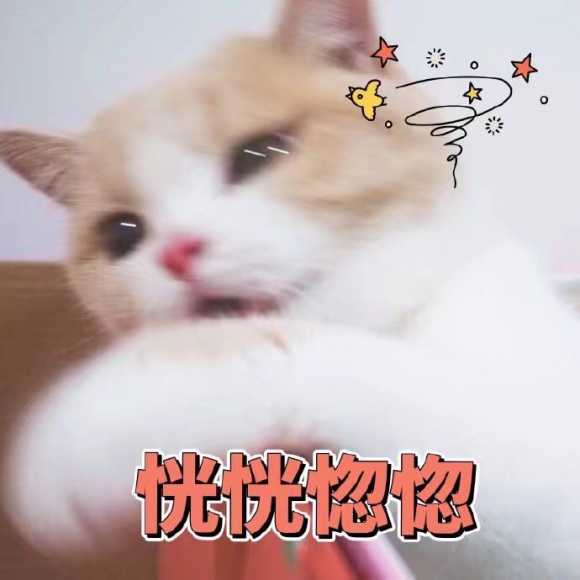 震惊微信聊天表情包