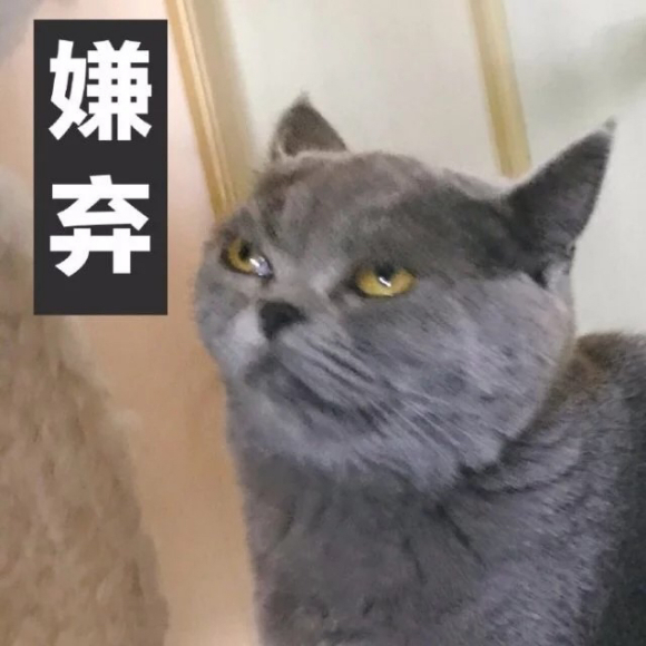 震惊微信聊天表情包