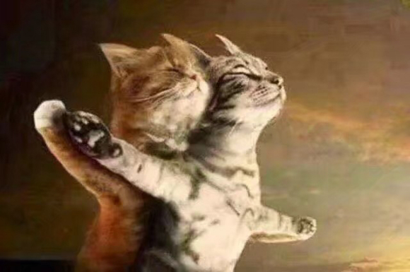 震惊微信聊天表情包