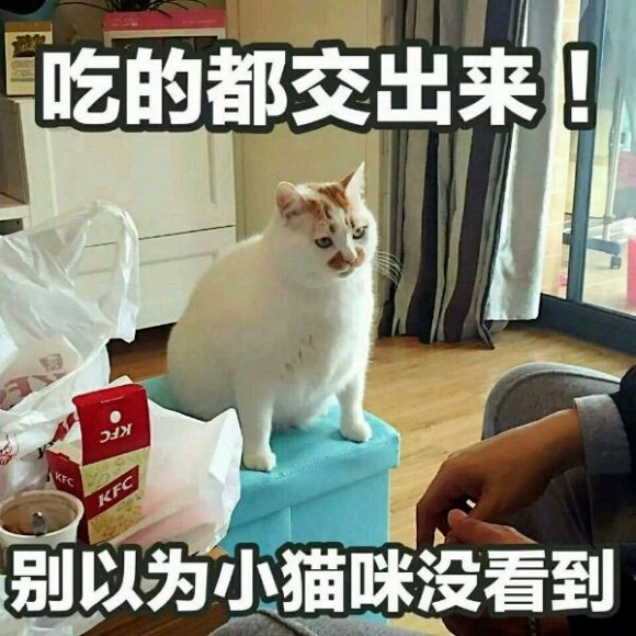 微信心如死灰表情包