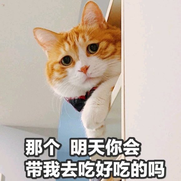 微信丢人聊天表情包