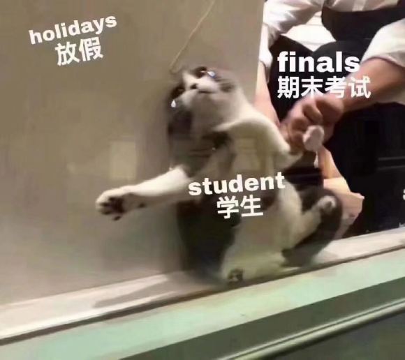 微信近期斗图恶搞表情2020/9/29(二)