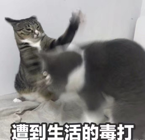 微信近期斗图恶搞表情2020/9/29(二)