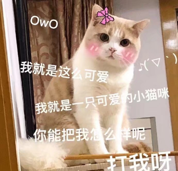 震惊微信聊天表情包