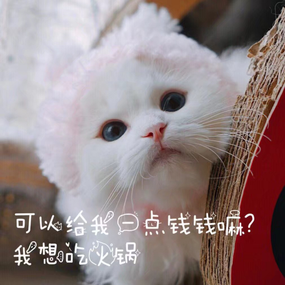 震惊微信聊天表情包