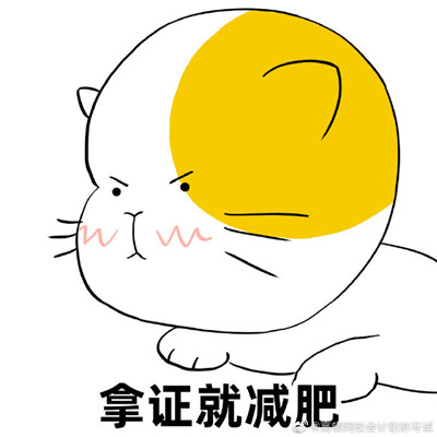 初级会计必过的微信表情包
