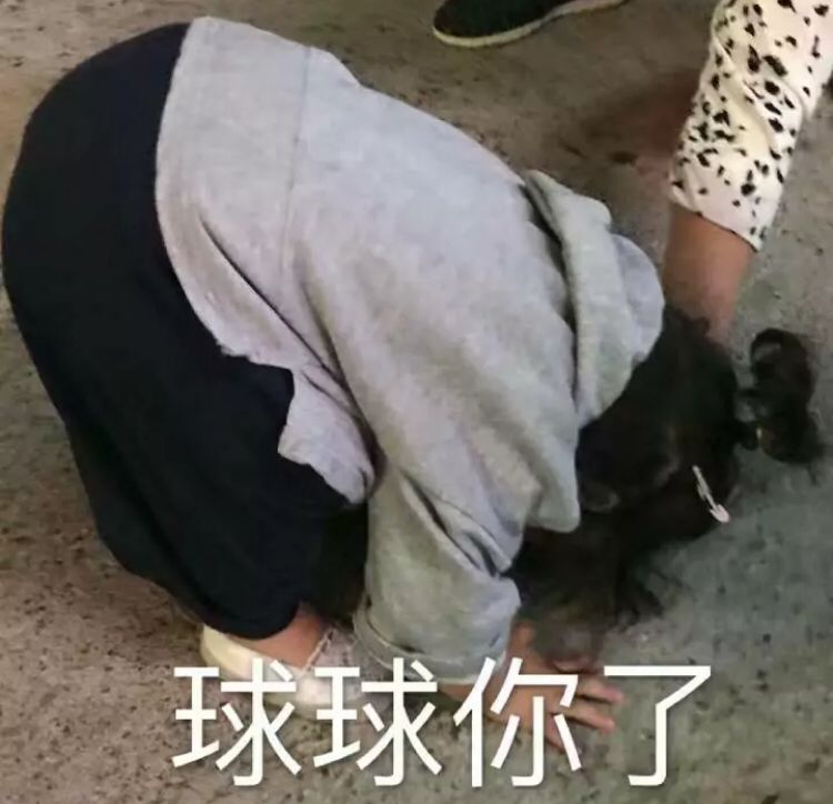 微信近期斗图恶搞表情包2020/9/30(二)