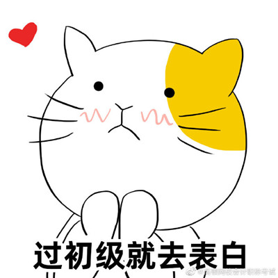初级会计必过的微信表情包