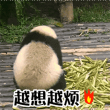 生气发怒系列微信表情包