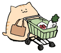 小猫一天生活的日常微信表情包