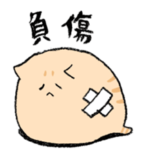 小猫一天生活的日常微信表情包