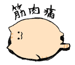 小猫一天生活的日常微信表情包