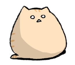 小猫一天生活的日常微信表情包