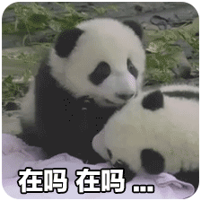 熊猫团子之mua~ 一大口亲亲系列微信表情包