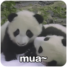 熊猫团子之mua~ 一大口亲亲系列微信表情包