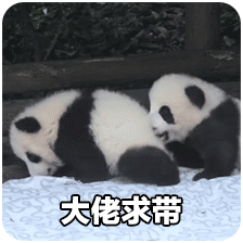 熊猫团子之mua~ 一大口亲亲系列微信表情包