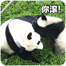 熊猫团子之mua~ 一大口亲亲系列微信表情包