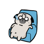 吾皇万睡之吾皇家日常微信表情包