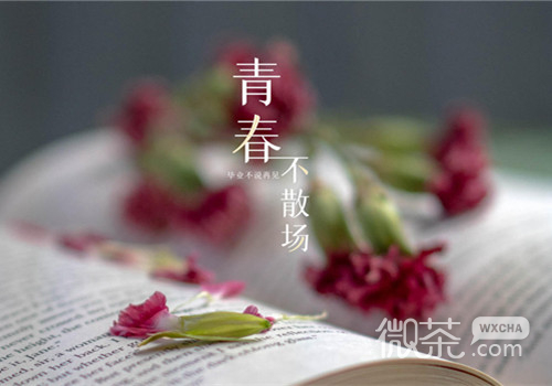 我的校园时光之青春不散场毕业文字微信素材图片
