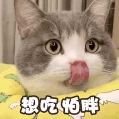 卖萌无敌的超可爱小猫咪微信表情包