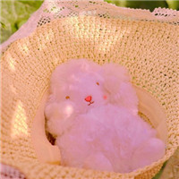 唯美清新静物微信头像