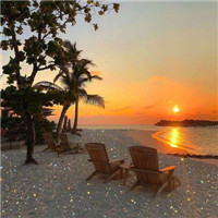 唯美清新静物微信头像