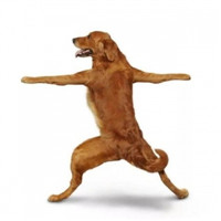 沙雕搞怪逗比儿童欢乐多情侣微信头像