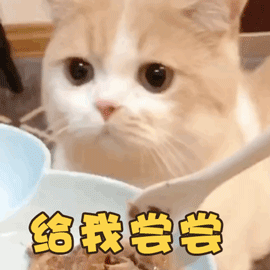 可爱萌猫动态微信表情包