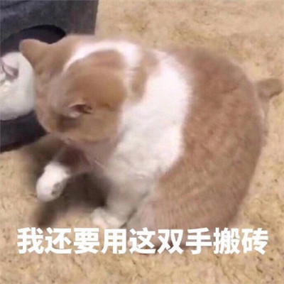 早安打工人微信表情包