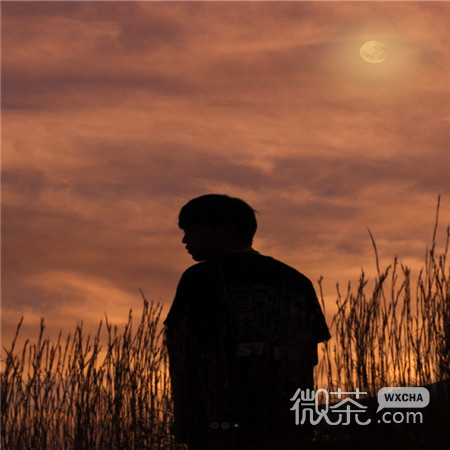 好看唯美个性微信素材图片