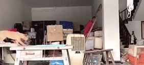 可爱狗狗的欢乐生活微信表情包