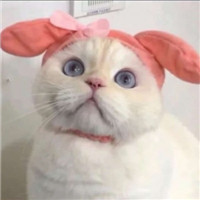 迷人可爱有趣呆萌喵星人微信头像