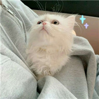 迷人可爱有趣呆萌喵星人微信头像