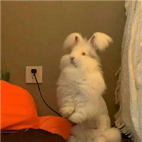 迷人可爱有趣呆萌喵星人微信头像