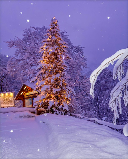 唯美意境大雪纷飞微信聊天背景图