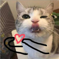 迷人可爱有趣呆萌喵星人微信头像