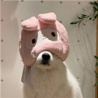 迷人可爱有趣呆萌喵星人微信头像