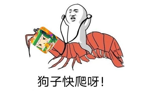 反mc的动态微信表情包