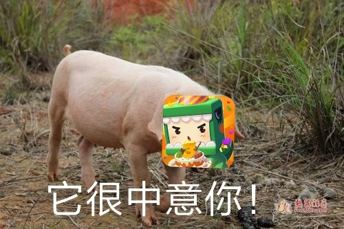 反mc的动态微信表情包