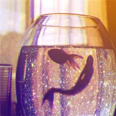 万圣节可以发朋友圈的欧美好看配图