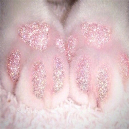 万圣节可以发朋友圈的欧美好看配图