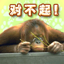 诚恳认错道歉搞笑微信表情包