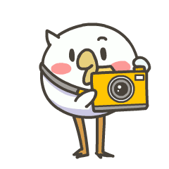 乘风破浪的momo子动态微信表情包