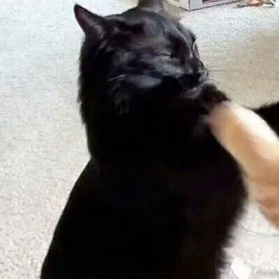 史上最搞笑最皮的情侣微信头像