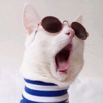 萌宠一对情侣微信头像