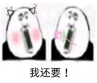 O泡时间到了微信表情包