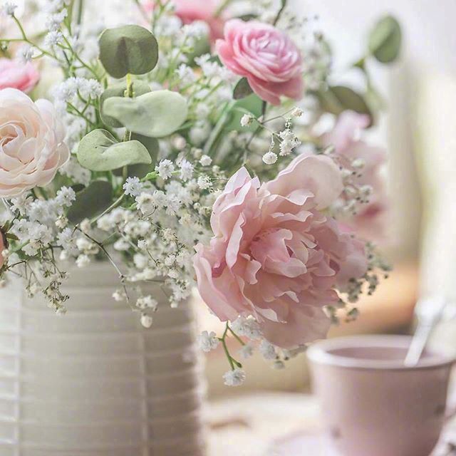 清新文静干净高雅的微信朋友圈配图