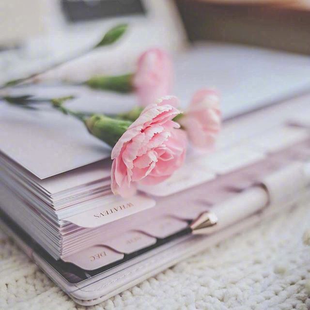 清新文静干净高雅的微信朋友圈配图