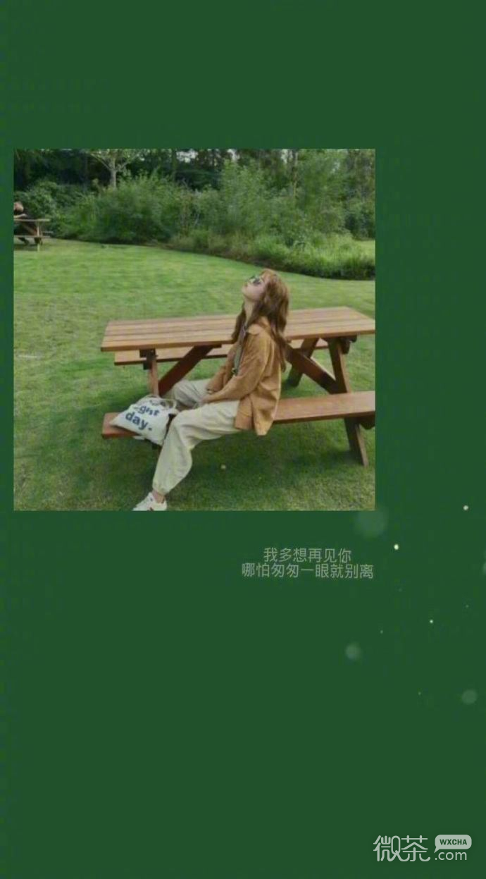 绿色护眼小清新治愈系的微信聊天背景图