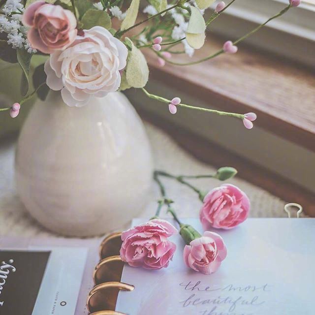 清新文静干净高雅的微信朋友圈配图